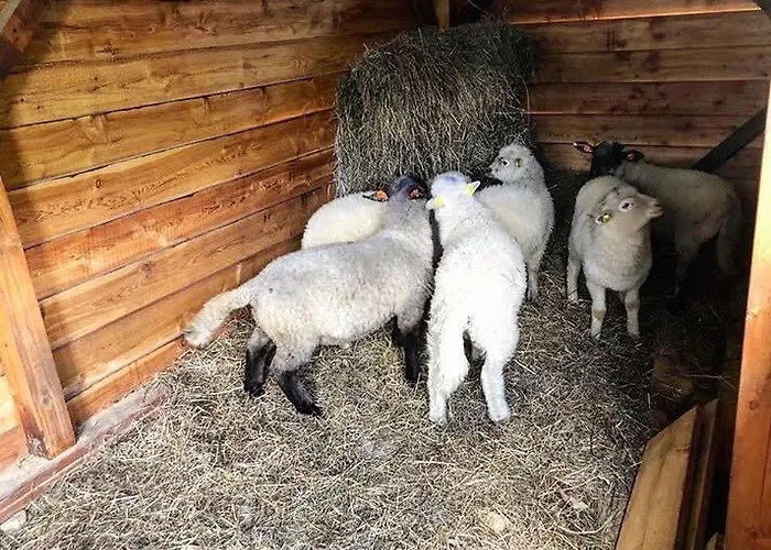 Penzion Sleglov Pensjonat Sleglov