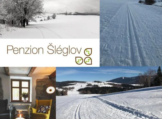 šléglov